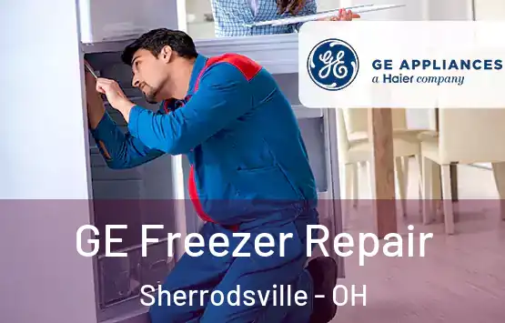  GE Freezer Repair Sherrodsville - OH