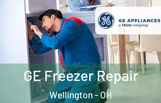  GE Freezer Repair Wellington - OH