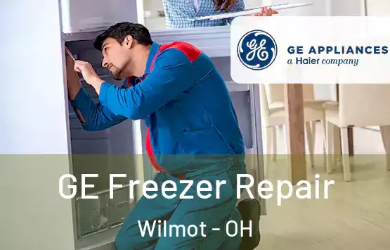  GE Freezer Repair Wilmot - OH