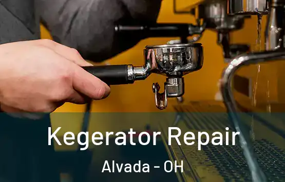  Kegerator Repair Alvada - OH