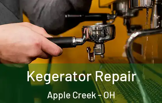  Kegerator Repair Apple Creek - OH