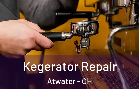  Kegerator Repair Atwater - OH