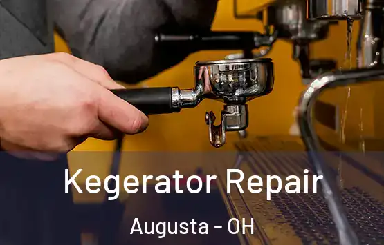  Kegerator Repair Augusta - OH