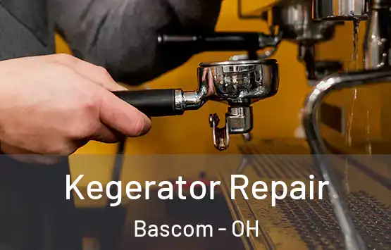  Kegerator Repair Bascom - OH