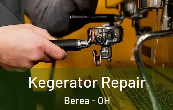  Kegerator Repair Berea - OH