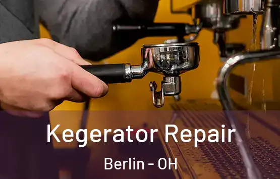  Kegerator Repair Berlin - OH