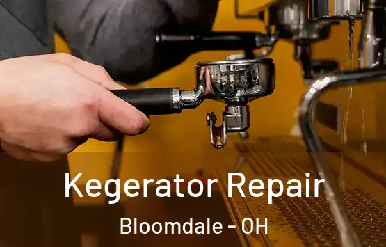  Kegerator Repair Bloomdale - OH