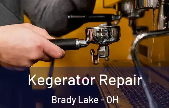  Kegerator Repair Brady Lake - OH