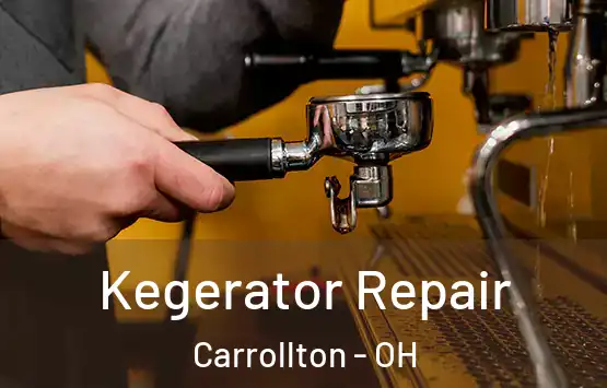  Kegerator Repair Carrollton - OH