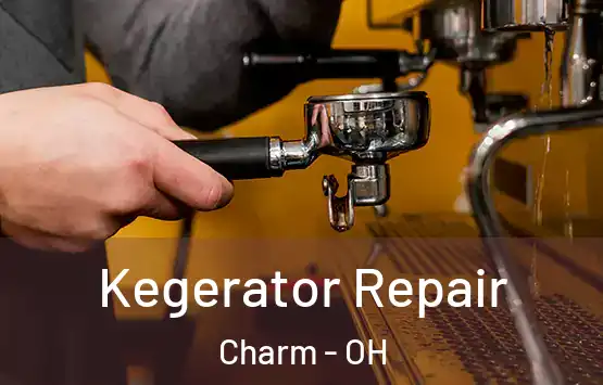 Kegerator Repair Charm - OH