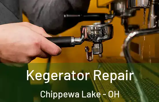  Kegerator Repair Chippewa Lake - OH