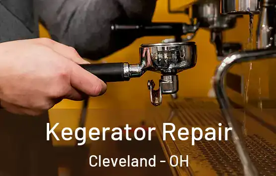  Kegerator Repair Cleveland - OH