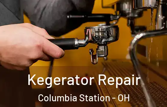  Kegerator Repair Columbia Station - OH