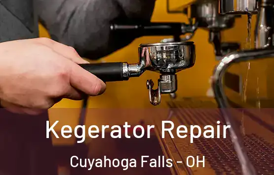  Kegerator Repair Cuyahoga Falls - OH