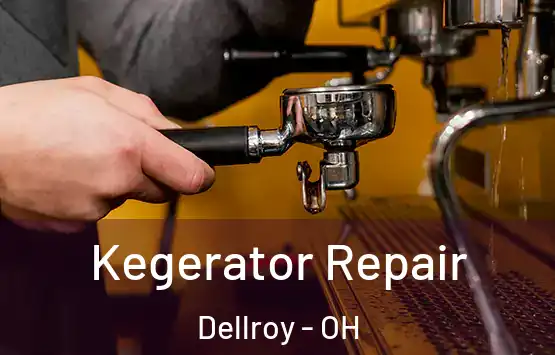  Kegerator Repair Dellroy - OH