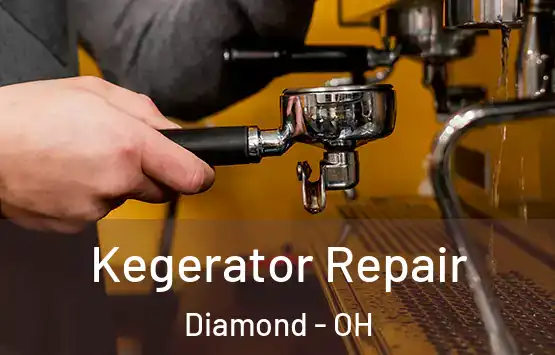  Kegerator Repair Diamond - OH