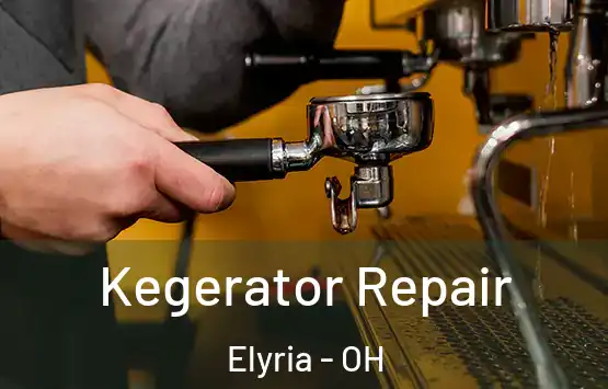  Kegerator Repair Elyria - OH