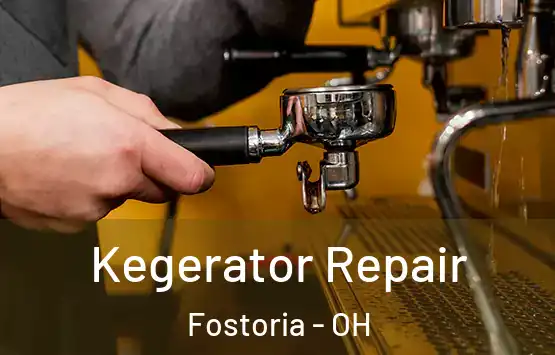  Kegerator Repair Fostoria - OH