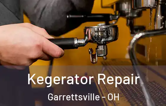  Kegerator Repair Garrettsville - OH