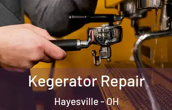  Kegerator Repair Hayesville - OH