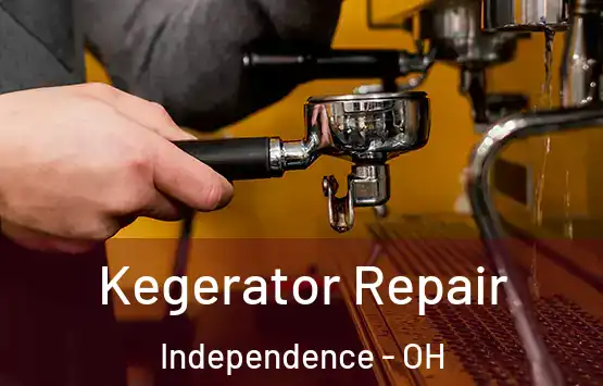  Kegerator Repair Independence - OH