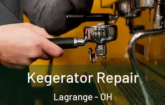  Kegerator Repair Lagrange - OH
