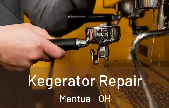  Kegerator Repair Mantua - OH
