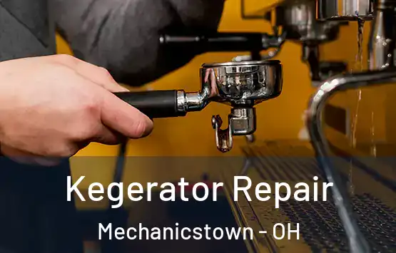  Kegerator Repair Mechanicstown - OH