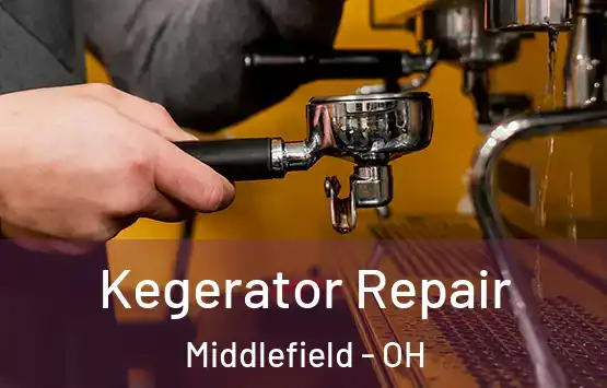  Kegerator Repair Middlefield - OH