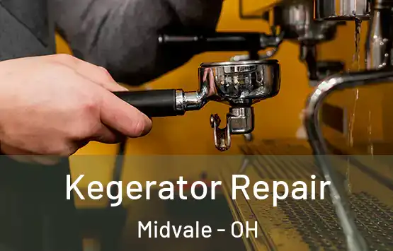  Kegerator Repair Midvale - OH