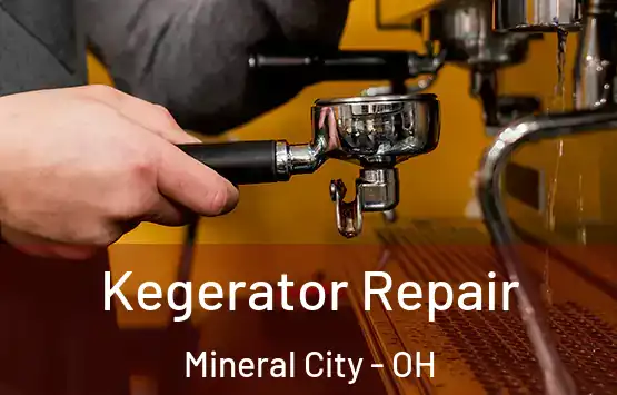  Kegerator Repair Mineral City - OH