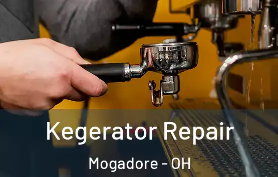  Kegerator Repair Mogadore - OH
