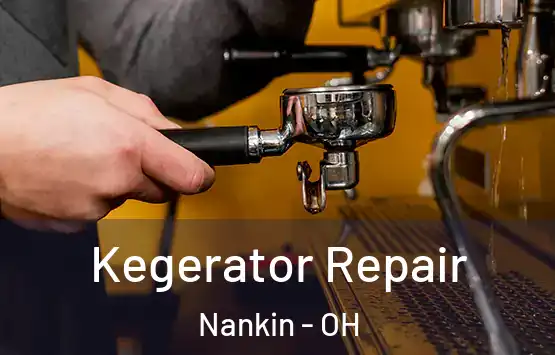  Kegerator Repair Nankin - OH