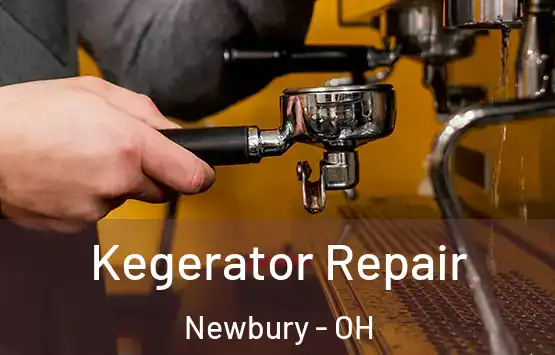  Kegerator Repair Newbury - OH