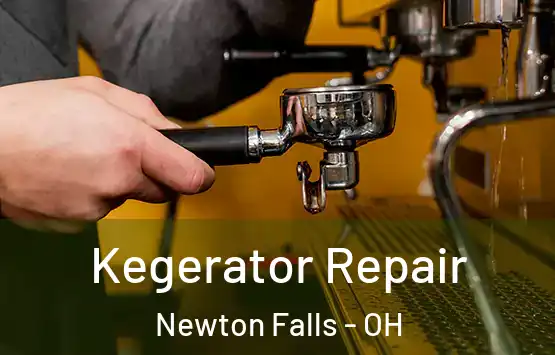  Kegerator Repair Newton Falls - OH