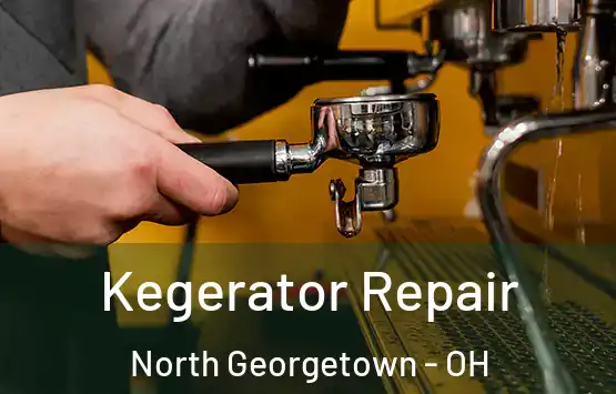  Kegerator Repair North Georgetown - OH