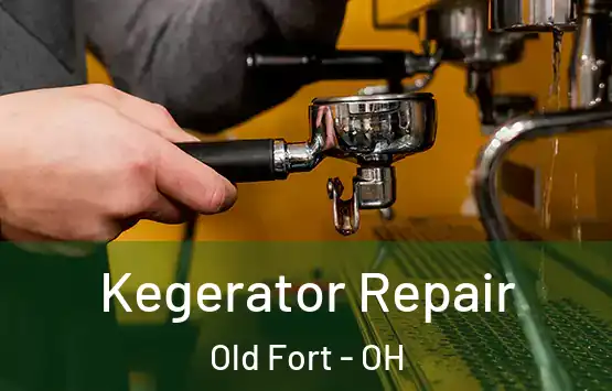  Kegerator Repair Old Fort - OH