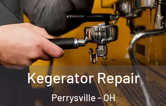  Kegerator Repair Perrysville - OH
