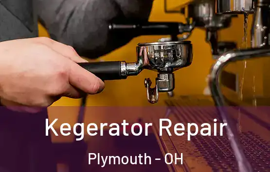  Kegerator Repair Plymouth - OH