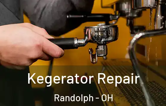  Kegerator Repair Randolph - OH