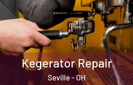  Kegerator Repair Seville - OH