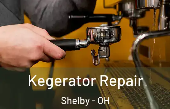 Kegerator Repair Shelby - OH