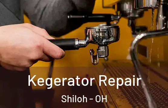  Kegerator Repair Shiloh - OH
