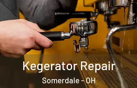  Kegerator Repair Somerdale - OH