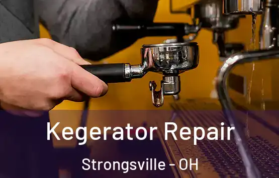  Kegerator Repair Strongsville - OH