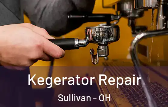  Kegerator Repair Sullivan - OH
