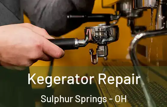  Kegerator Repair Sulphur Springs - OH