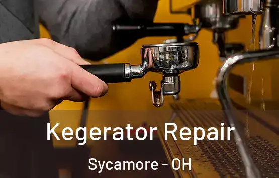  Kegerator Repair Sycamore - OH