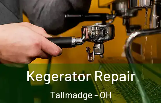  Kegerator Repair Tallmadge - OH