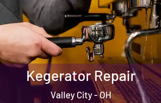  Kegerator Repair Valley City - OH